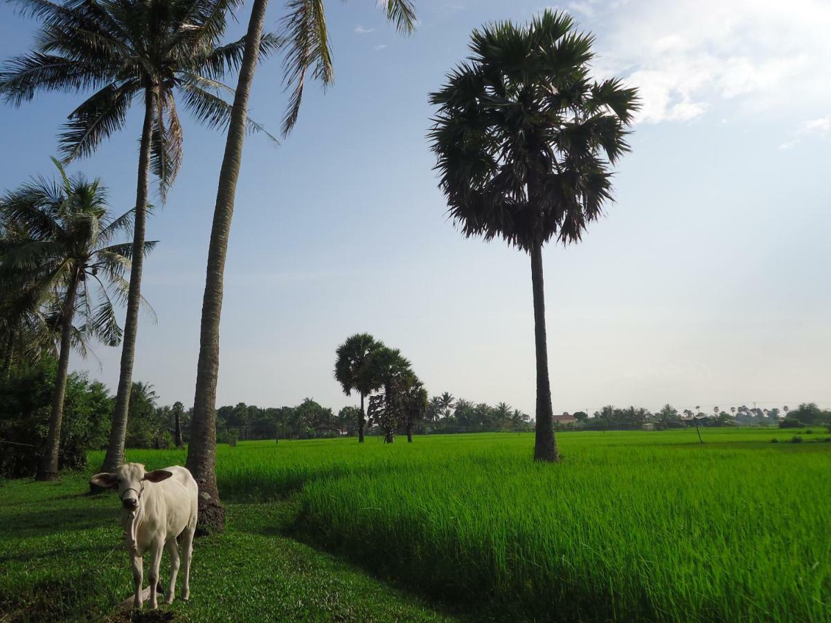 Mother Garden Home Siem Reap Bagian luar foto